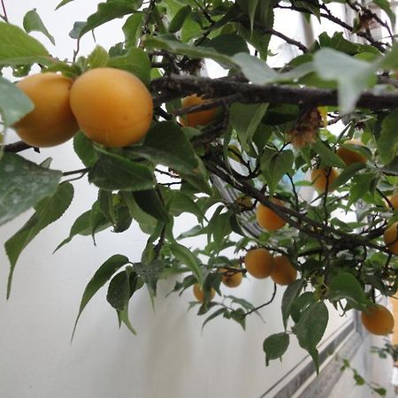 Dali Four Season Flower Inn Νταλί Εξωτερικό φωτογραφία